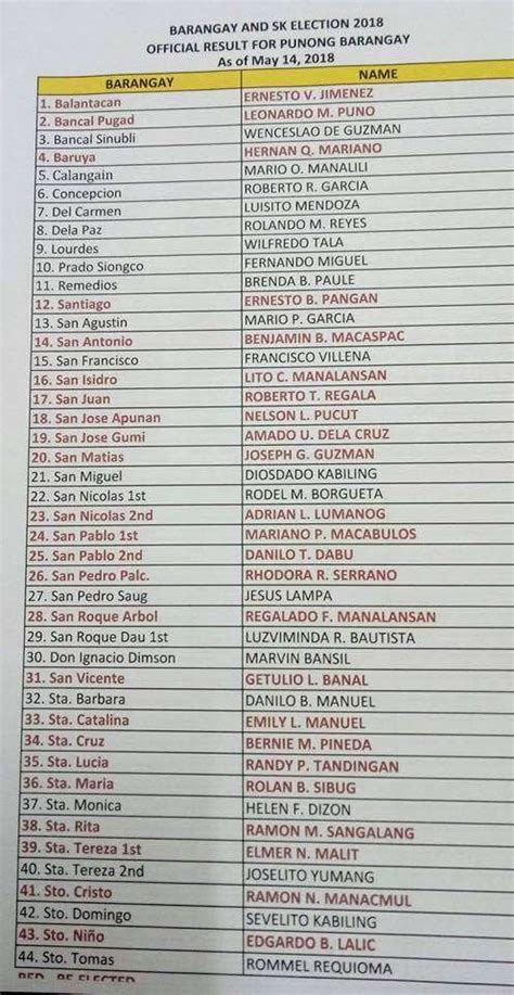 list of barangay captain in davao city 2024